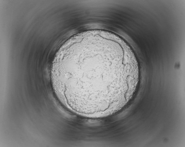 X0000112830857200909181648