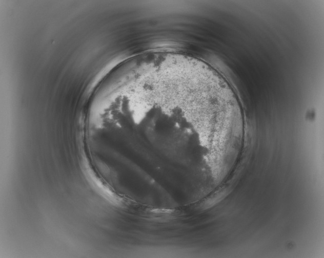 X0000112830859200909181648