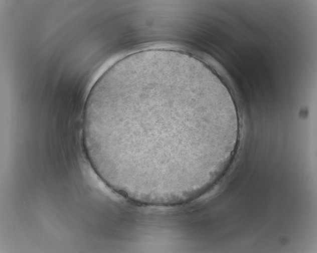 X0000112830860200909181648