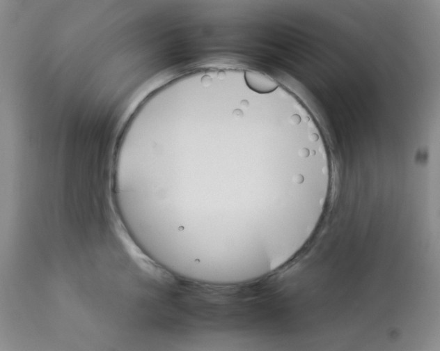 X0000112830861200909181648