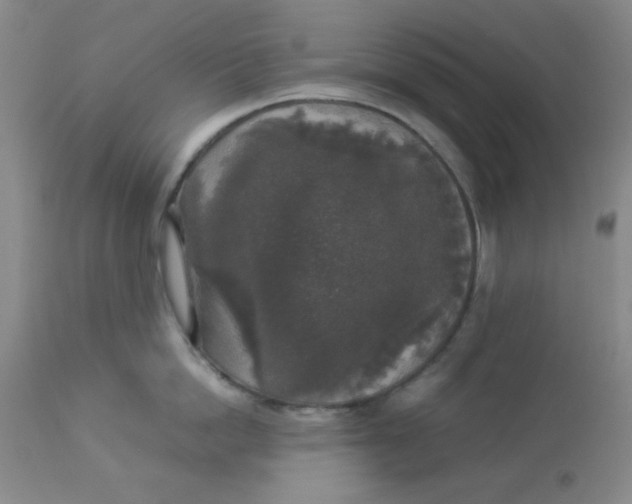 X0000112830862200909181648