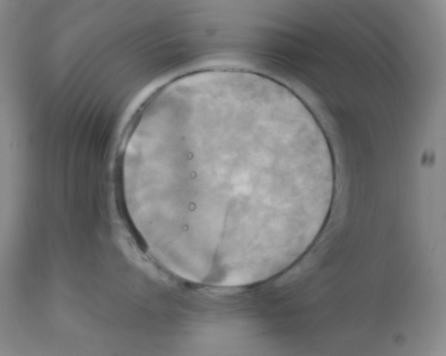 X0000112830864200909181648