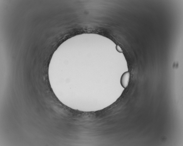 X0000112830865200909181647