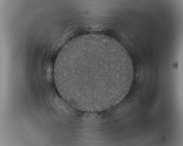 X0000112830866200909181647