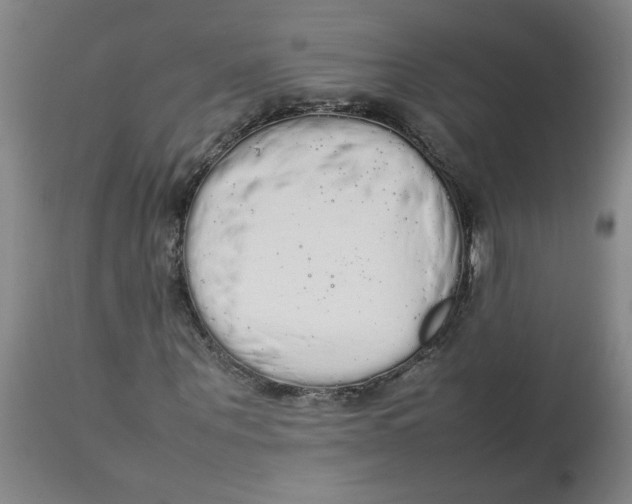 X0000112830867200909181647