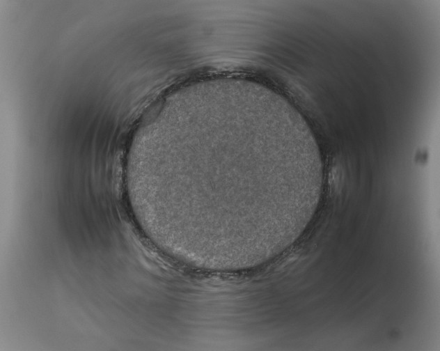 X0000112830868200909181647