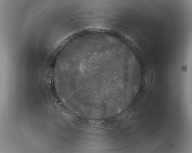 X0000112830870200909181647