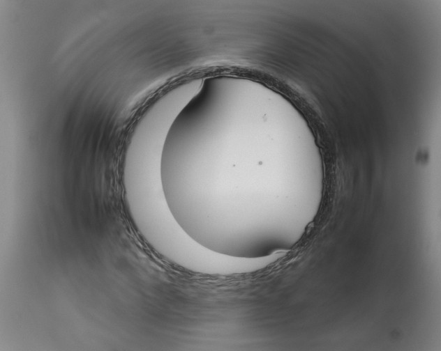 X0000112830872200909181647