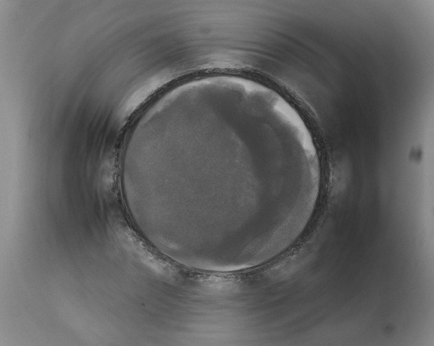 X0000112830874200909181647