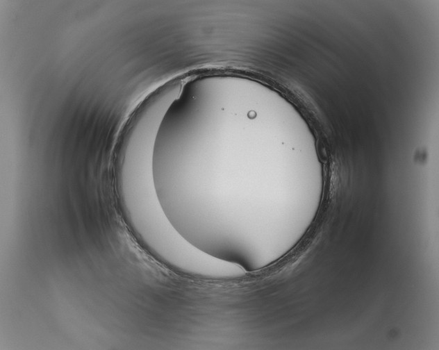 X0000112830876200909181647