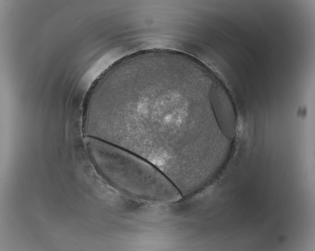 X0000112830877200909181647