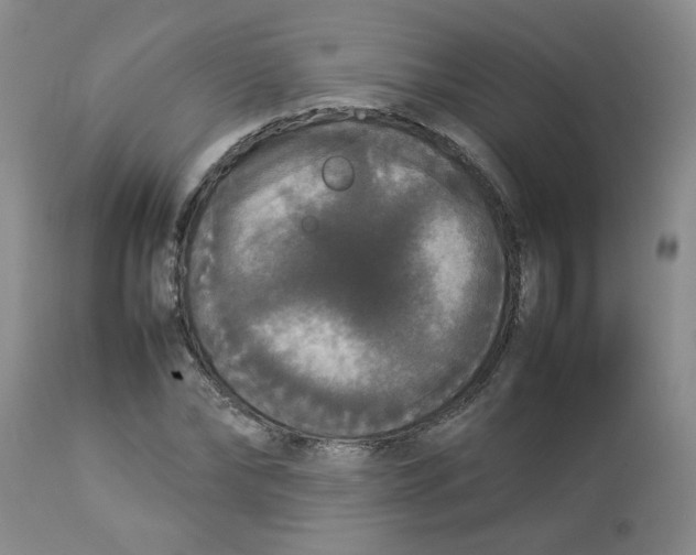 X0000112830878200909181647