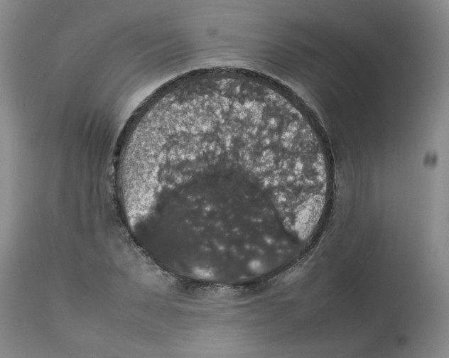 X0000112830879200909181647