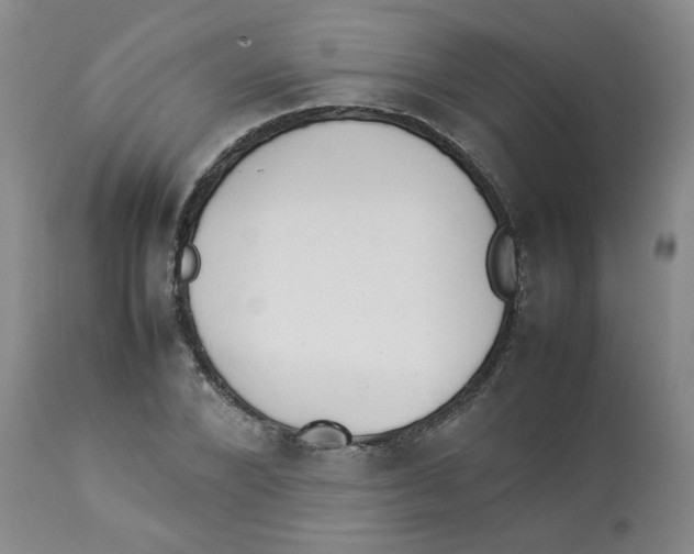 X0000112830880200909181647