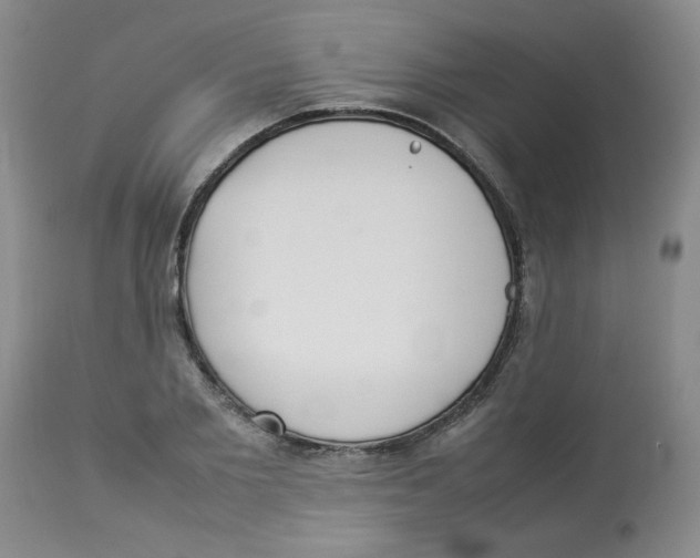 X0000112830885200909181647