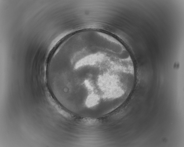 X0000112830886200909181647