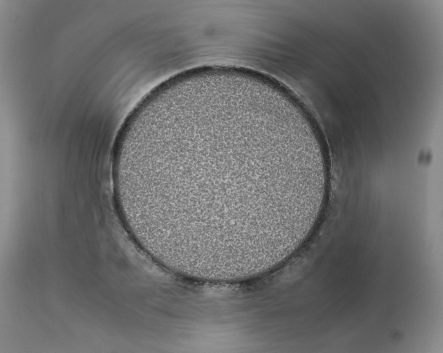 X0000112830887200909181647