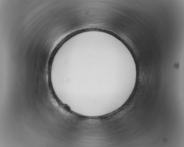 X0000112830888200909181647