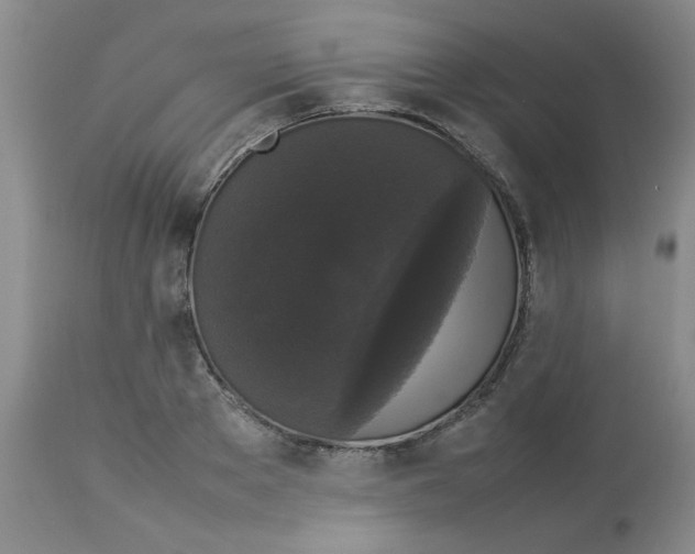 X0000112830889200909181647