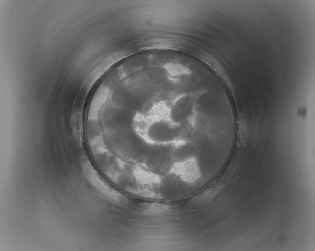 X0000112830890200909181647