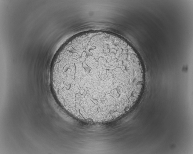 X0000112830891200909181647