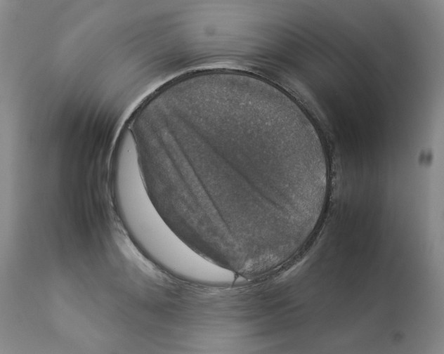 X0000112830892200909181647