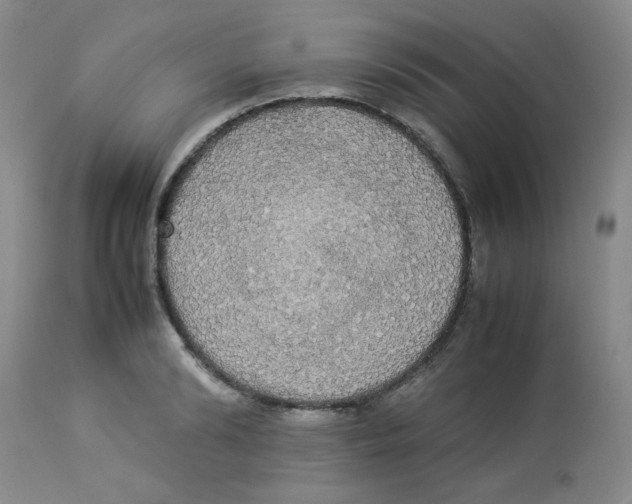 X0000112830894200909181647