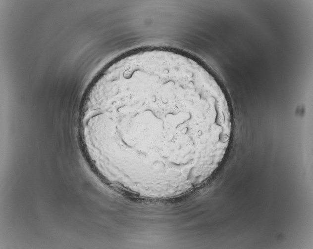 X0000112830895200909181647