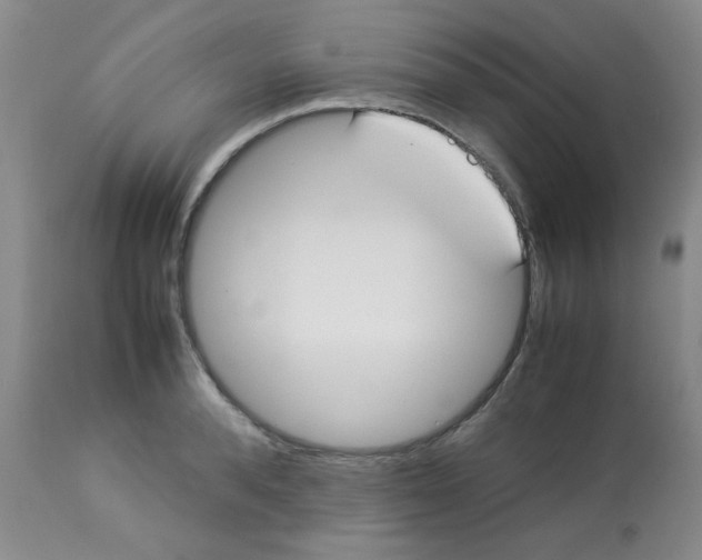 X0000112830896200909181647