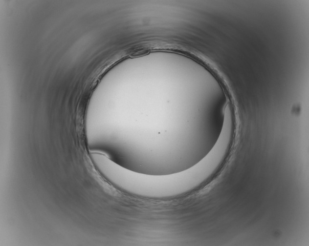 X0000112830897200909181647