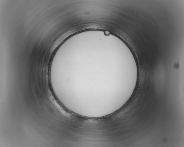 X0000112830898200909181647