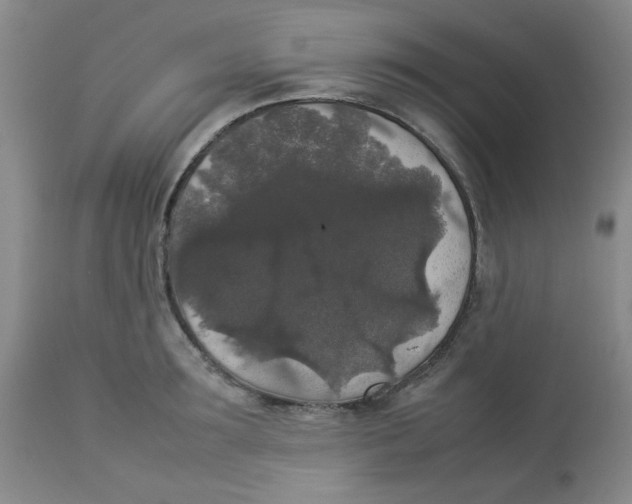 X0000112830899200909181647