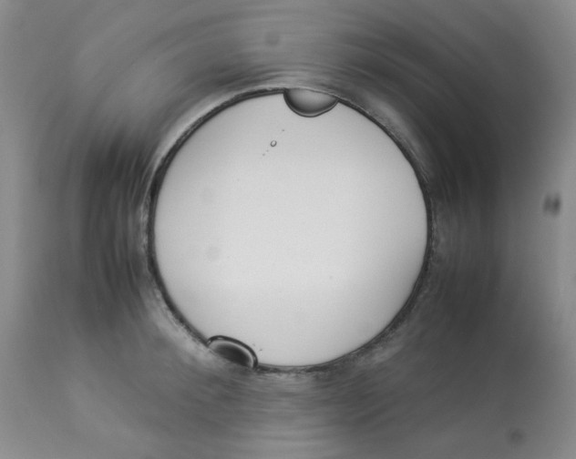 X0000112830900200909181647