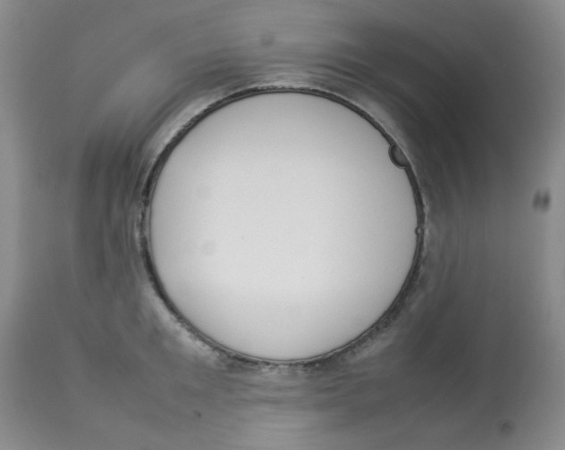 X0000112830901200909181647