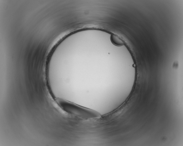 X0000112830902200909181647