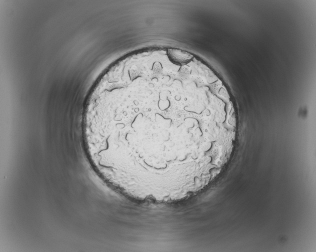 X0000112830903200909181647