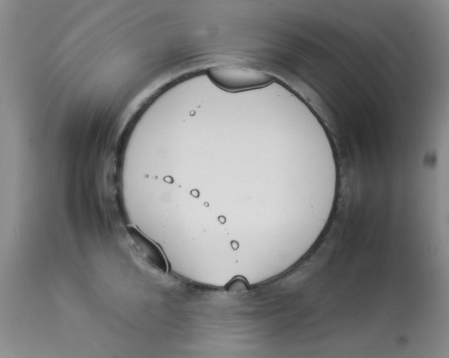 X0000112830904200909181647