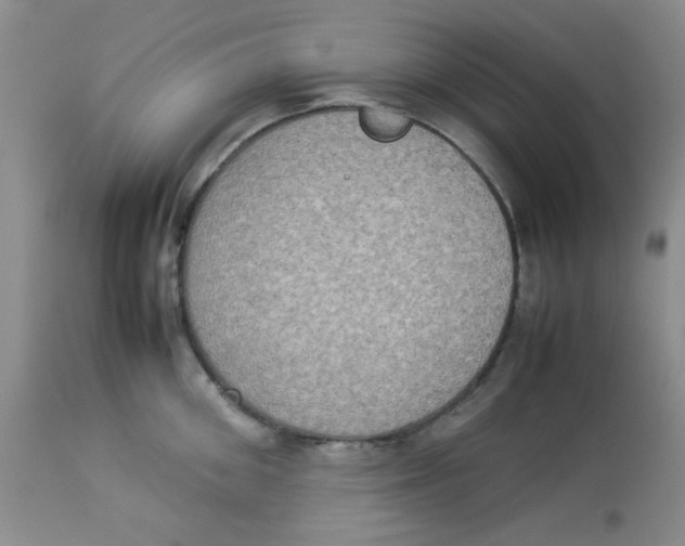 X0000112830906200909181647