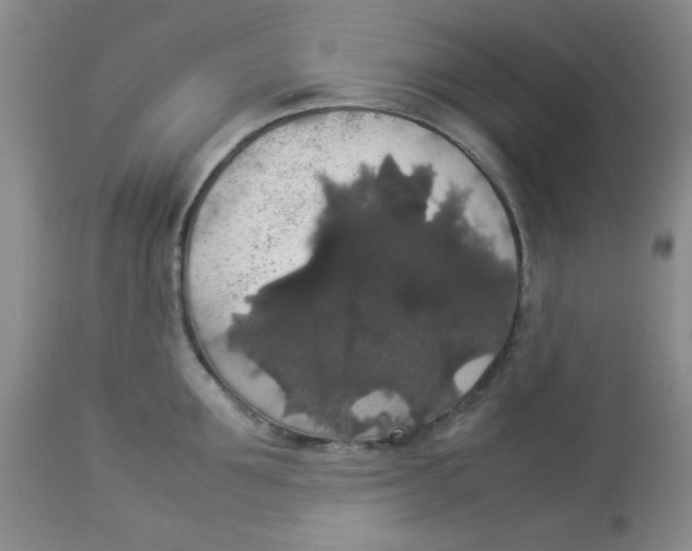 X0000112830907200909181647