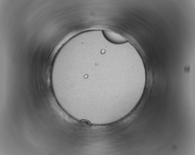 X0000112830908200909181647