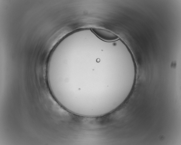 X0000112830909200909181647