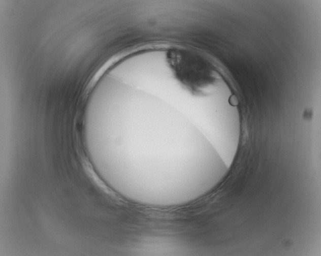 X0000112830911200909181647