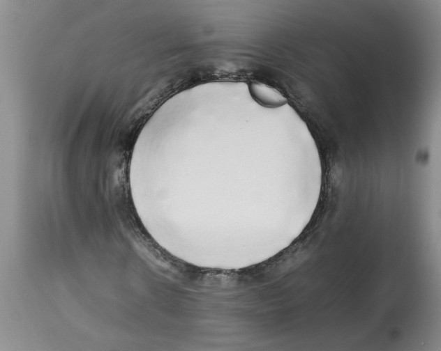 X0000112830914200909181646