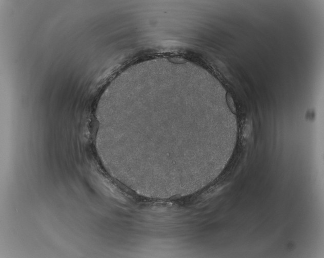 X0000112830916200909181646