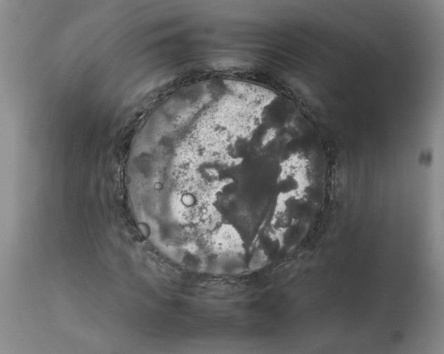 X0000112830917200909181646