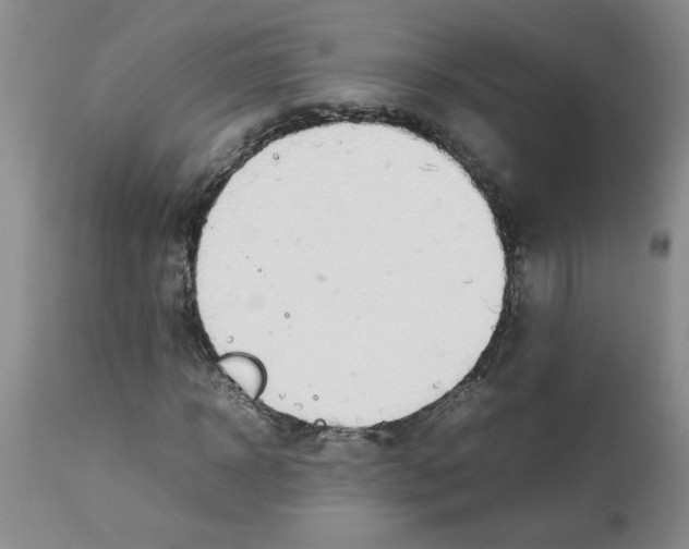 X0000112830918200909181646