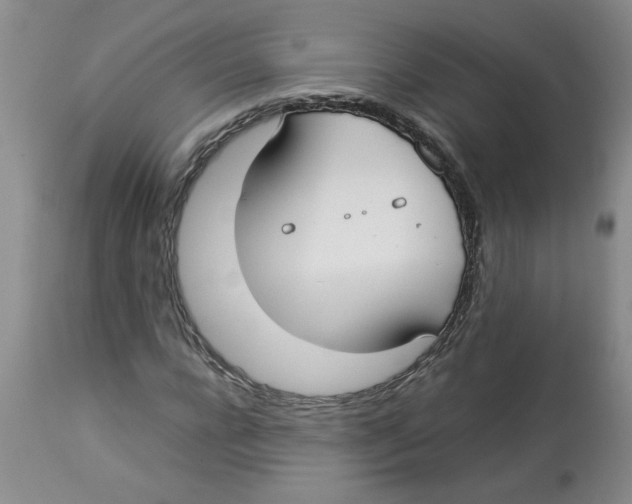 X0000112830920200909181646