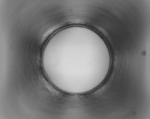 X0000112830922200909181646