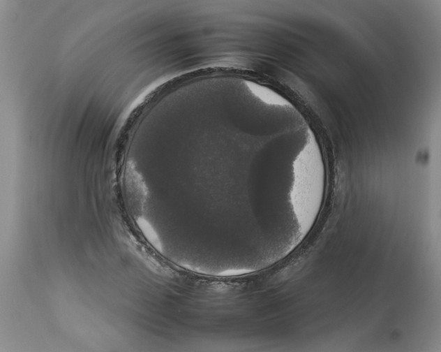 X0000112830923200909181646