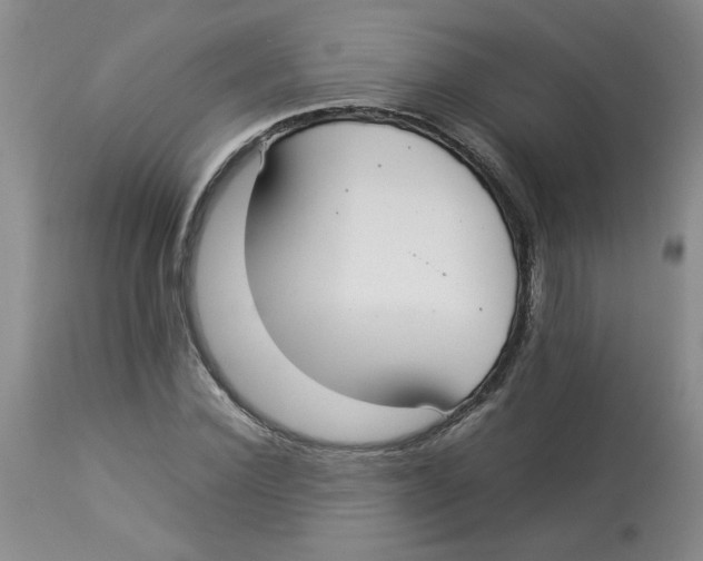 X0000112830924200909181646